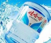 江西大东区水站，品牌桶装水免费送货上门-晓苧水站